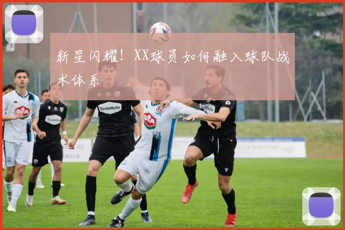 新星闪耀!XX球员如何融入球队战术体系